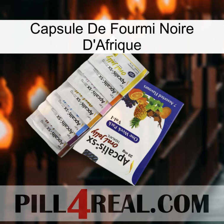 Africa Black Ant Capsule 11